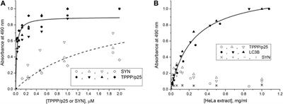 Co-Transmission of Alpha-Synuclein and TPPP/p25 Inhibits Their Proteolytic Degradation in Human Cell Models